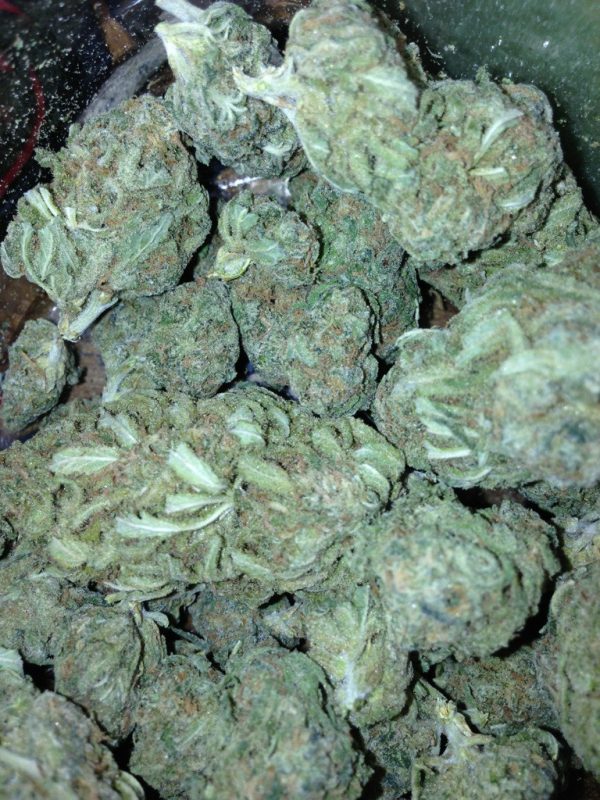 buy blue dream strain, anxiety, blue dream, blueberry, creative, Depression, Earthy, euphoric, flowers, happy, hybrid, inflammation, Insomnia, Nausea, Pain, relaxed, Sweet, the green room, uplifted, vanilla, Woody, blue dream weed, buy an 8th of blue dream, buy cheap weed online, buy blue dream strain in New jersey, buy blue dream strain in New York, buy blue dream strain Georgia, buy blue dream strain in California, buy blue dream strain in Illinois, buy blue dream strain in Atlanta