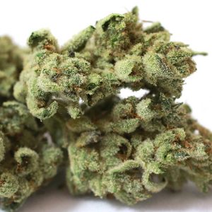 gorilla glue strain for sale, Gorilla Glue #4, gg4 strain price, gorilla glue weed for sale, pound of gorilla glue price, Depression, earthy, Euphoric, Happy, Insomnia, Lack of Appetite, pain, Pungent, relaxed, sleepy, stress, uplifted
